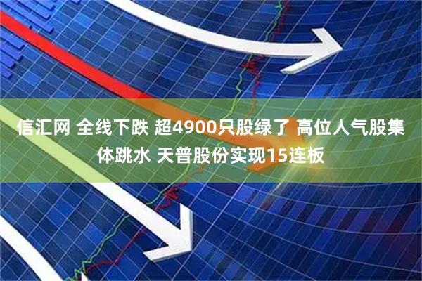 信汇网 全线下跌 超4900只股绿了 高位人气股集体跳水 天普股份实现15连板