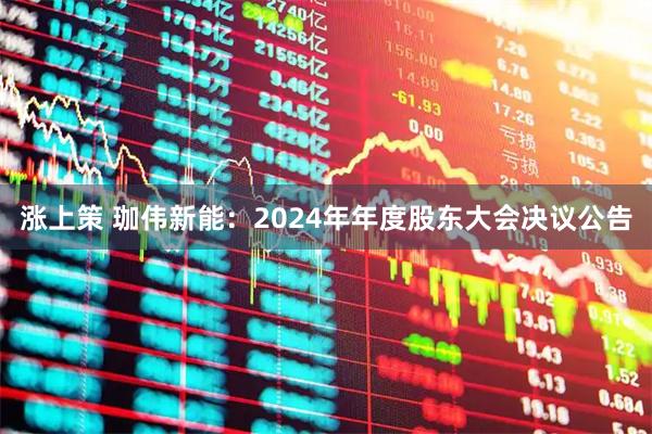 涨上策 珈伟新能：2024年年度股东大会决议公告