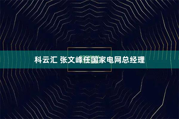 科云汇 张文峰任国家电网总经理