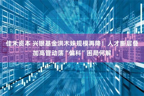 佳禾资本 兴银基金洪木妹规模再降！人才断层叠加高管动荡“偏科”困局何解