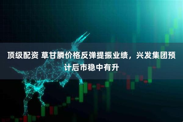顶级配资 草甘膦价格反弹提振业绩，兴发集团预计后市稳中有升
